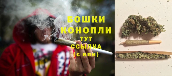 спайс Надым