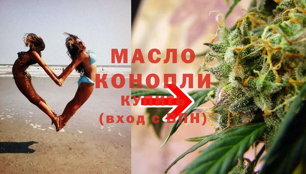 индика Новодвинск
