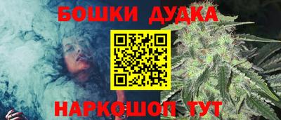 шишки Апшеронск