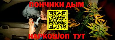 шишки Апшеронск