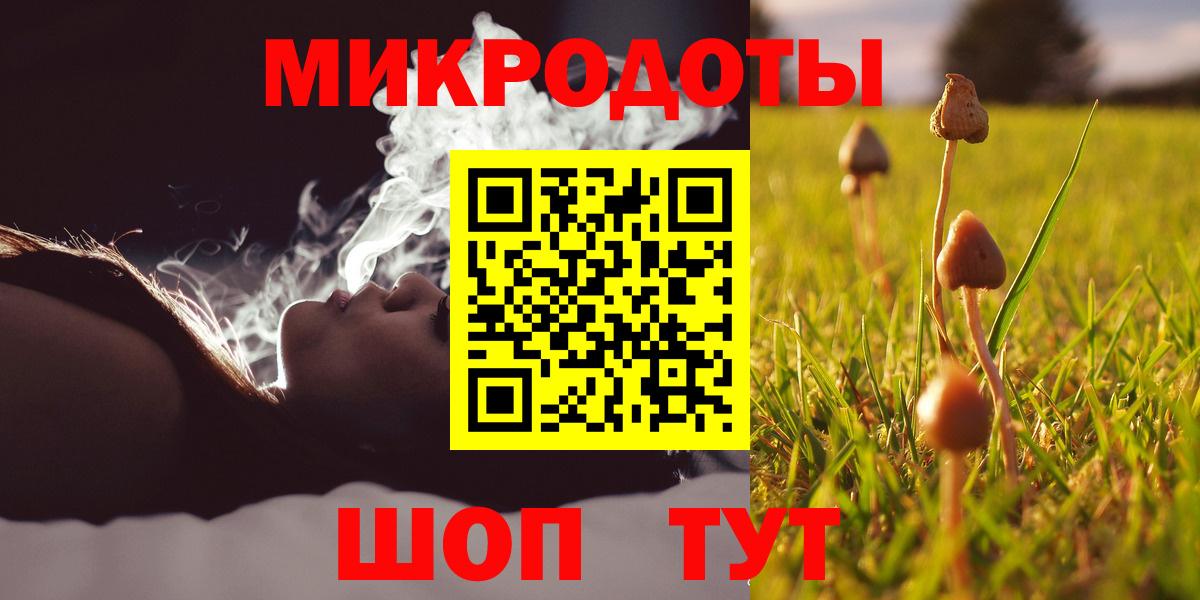 Галлюциногенные грибы Cubensis  Галлюциногенные грибы Psilocybe  Белгород 